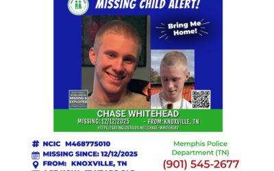 Chase Whitehead